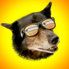 DJ Daesh - My Ummstah