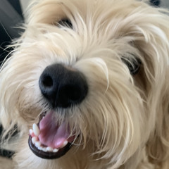 eli