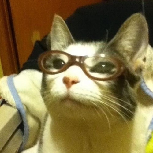 Take It Off x UNICORN (Playe.exe mashup)