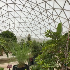 🌱🍵ᘻᑘSᓰᑢ = ᘿSᑢᗩᕵᘿ 🍵🌱