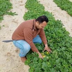 عبده عبدالفتاح