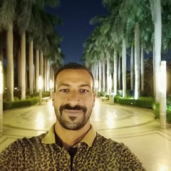 مصطفي العشيري