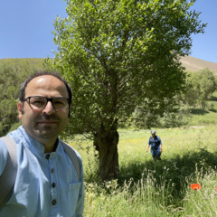 reza KHademi