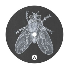 The Red Rum Orchestra