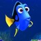 DORY