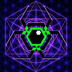 Entrippy
