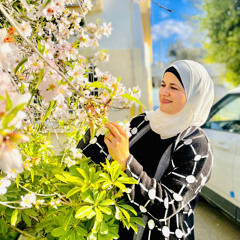 fatemah thabet