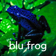 blufrogproductions