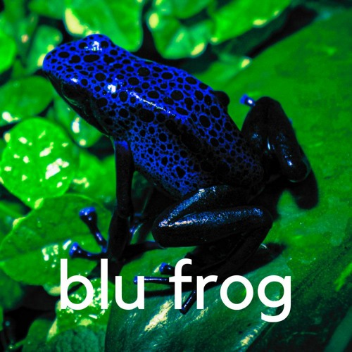 blufrogproductions’s avatar