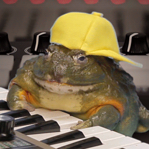Frogz Music Reborn’s avatar