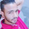 Mostafa M Habeb