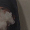 FaceChoppa
