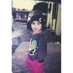 Arlenis G. Bermudez