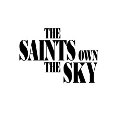 TheSaintsOwnTheSky