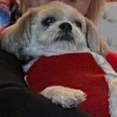 Toby