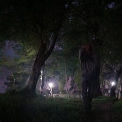 F 13