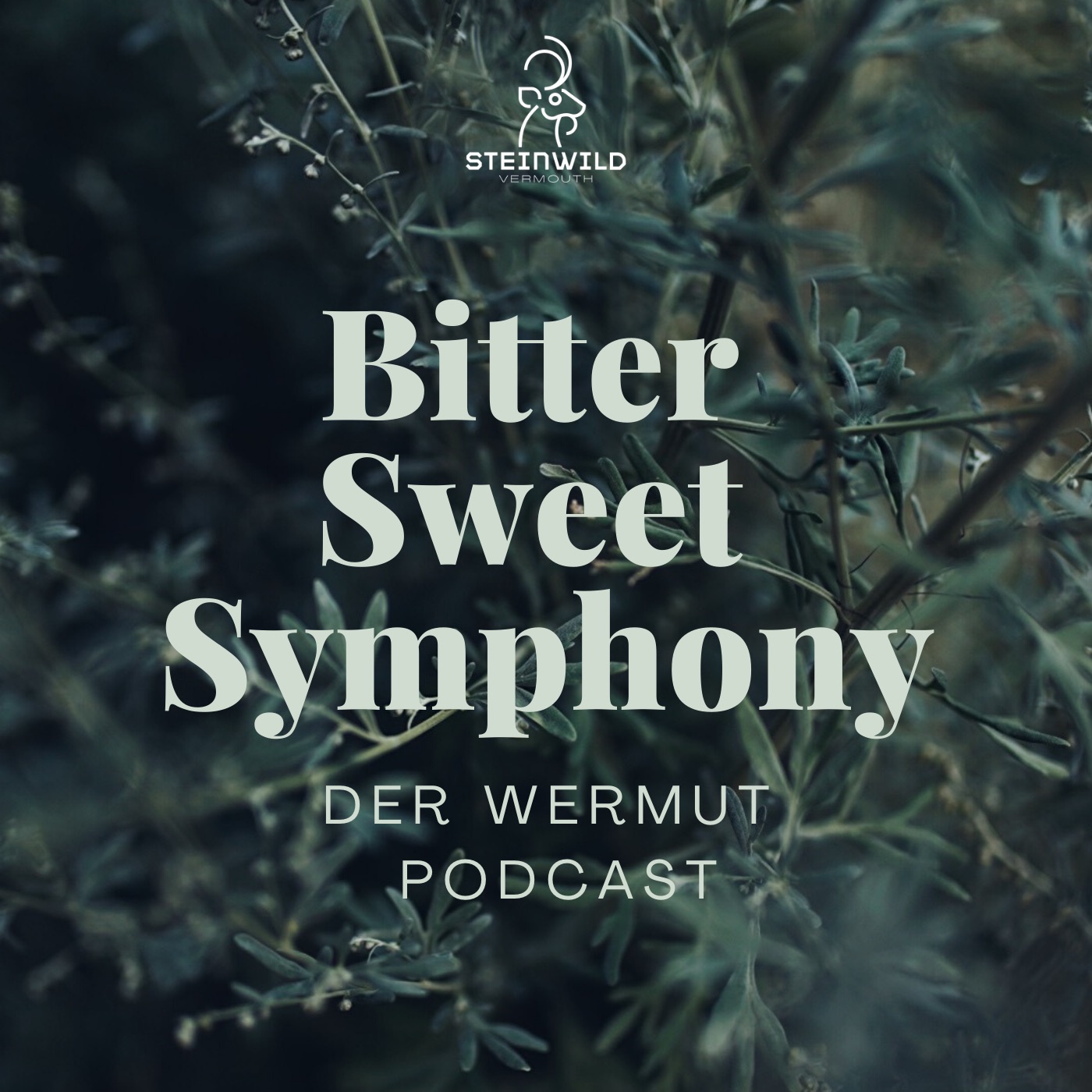 Bitter Sweet Symphony - Der Wermut Podcast presented by Steinwild Vermouth