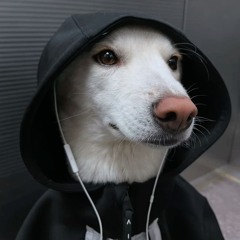 Hoodieboi