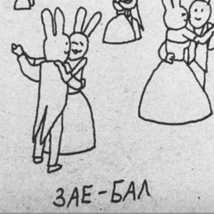 DD зай