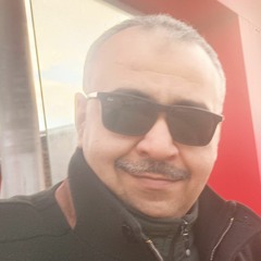 Mohamed Salem Ghoniem