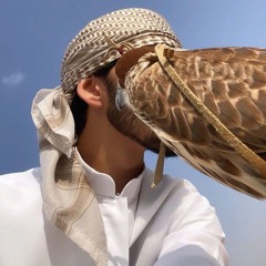 محمد العامري