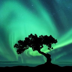 Northern Light Guitars