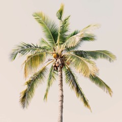 Raul Campillo Guirado