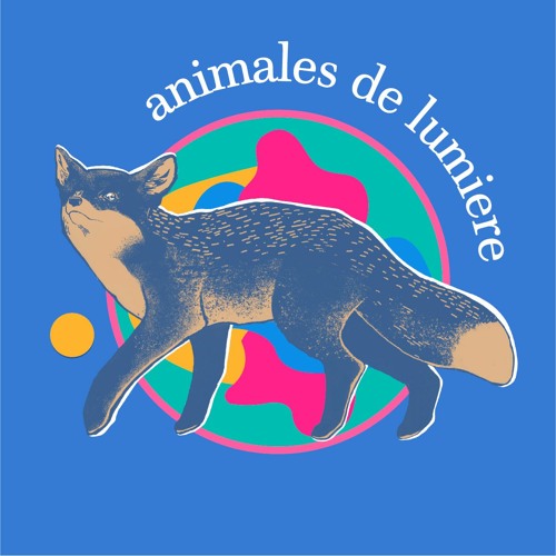 Animales de Lumière’s avatar