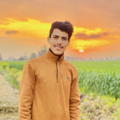 Ahmed Hassan