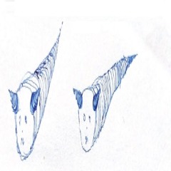 Club de pesca