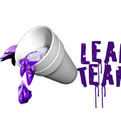 LEAN TEAM ZA