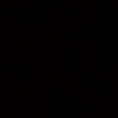 CXLLMERICHIE