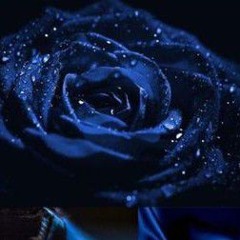 Midnight Heart