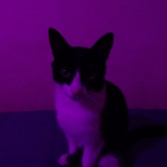 svnny.dll