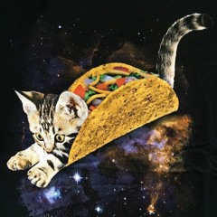 KingTacoCatThe3rd