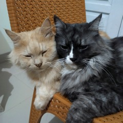 Nabila Khalda Indifa