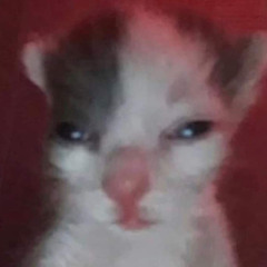 HA