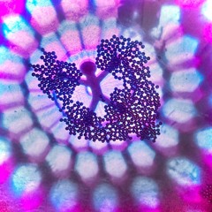 2025-09-10 v.0.1.3