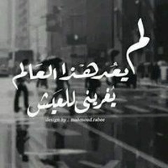 Mohey MA