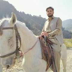 Sareer Ahmed
