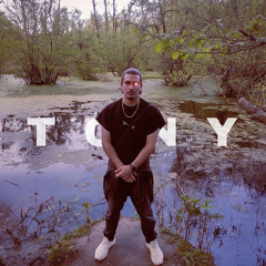 tonytunes