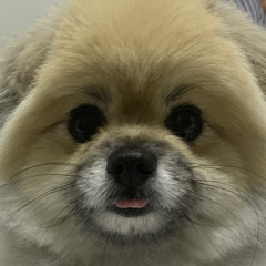 영밍111111