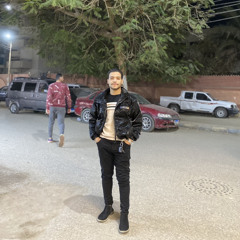 حسام الدولى