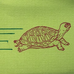 geoff the tortoise