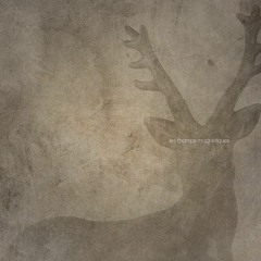 Les Champs Magnétiques