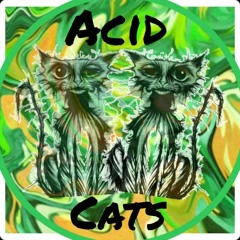 Acid Cats - Marlow FM Mix 26.05.23