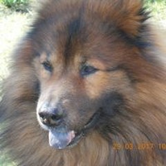 Catherine Jacquemond