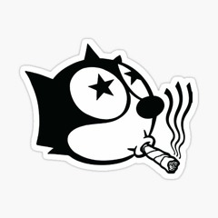 dorfKat