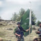 Hamza 4954