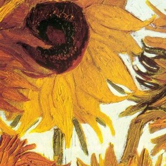 Yêu Phải Một Chàng Gay